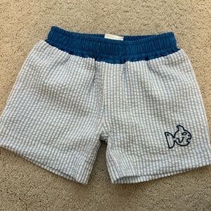 Blue and White Striped Kids Swim Trunks